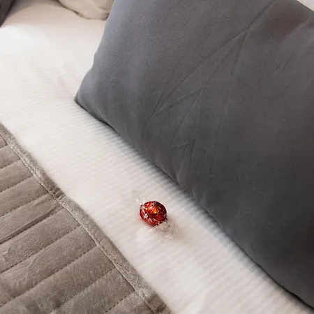 Affittacamere Xxiv Domus Luxury Roma