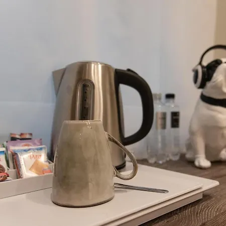 Xxiv Domus Luxury Affittacamere Roma